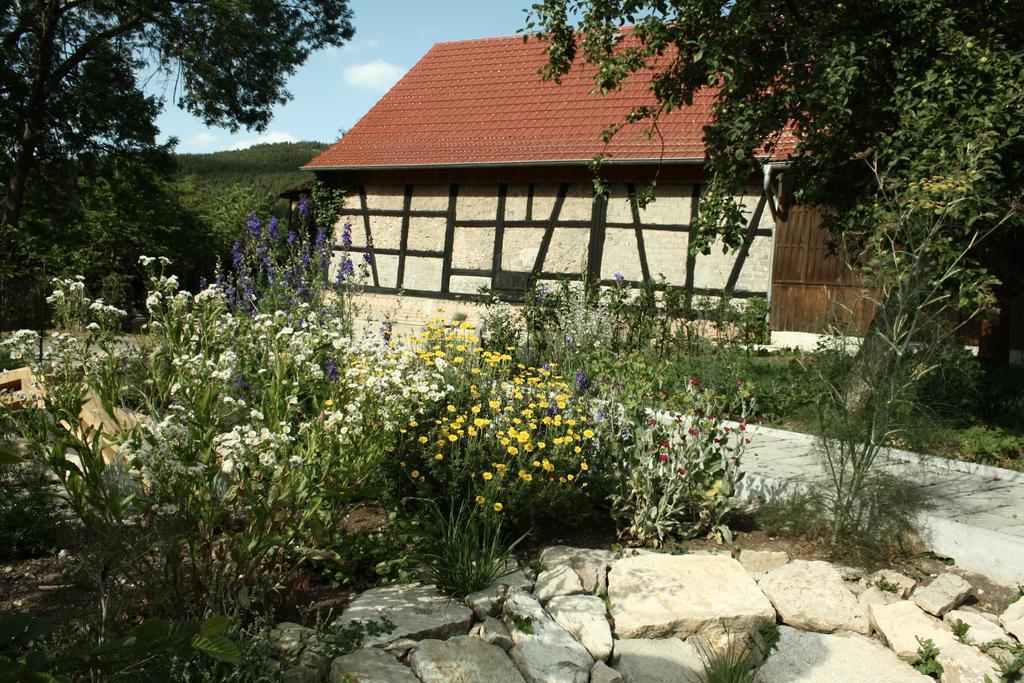 Cafe Landart Im Thueringer Finistere Apartman Plaue  Szoba fotó