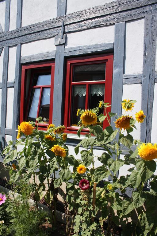 Cafe Landart Im Thueringer Finistere Apartman Plaue  Kültér fotó